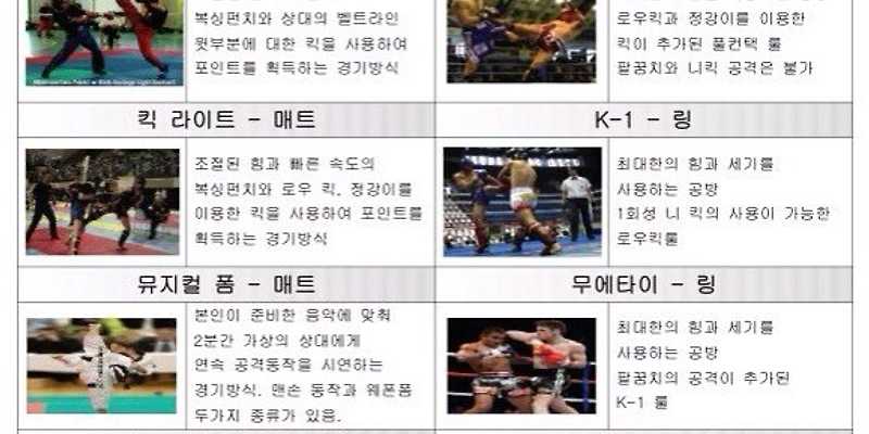 질풍합기도킥복싱