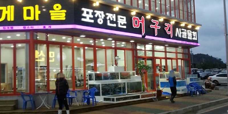 머구리횟집 속초시 애견맛집