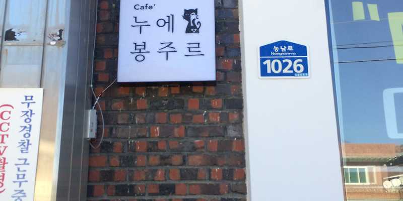 카페누에봉주르 경상 애견맛집