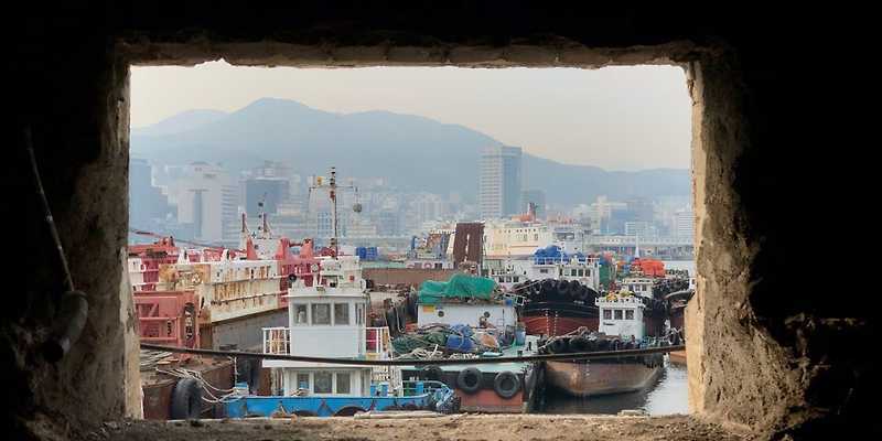 무명일기 부산 애견카페