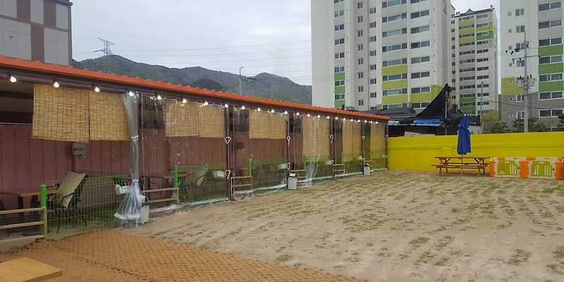 멍스타그램 1호점 경상 애견카페