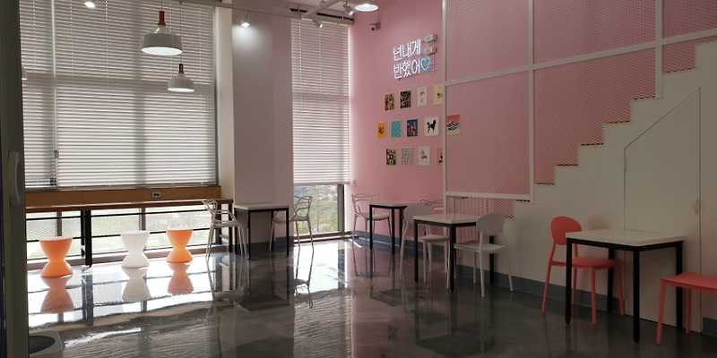 캔디독 경기 애견카페