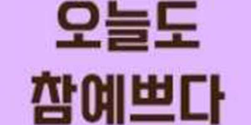 오늘도참예쁘다 강원 애견카페
