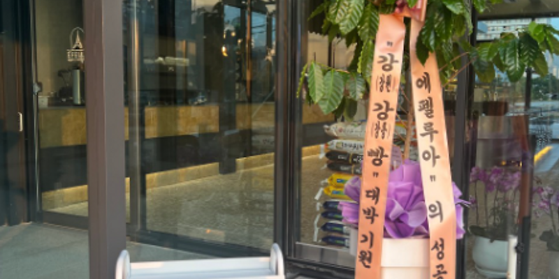 에펠루아 본점 강원 애견카페