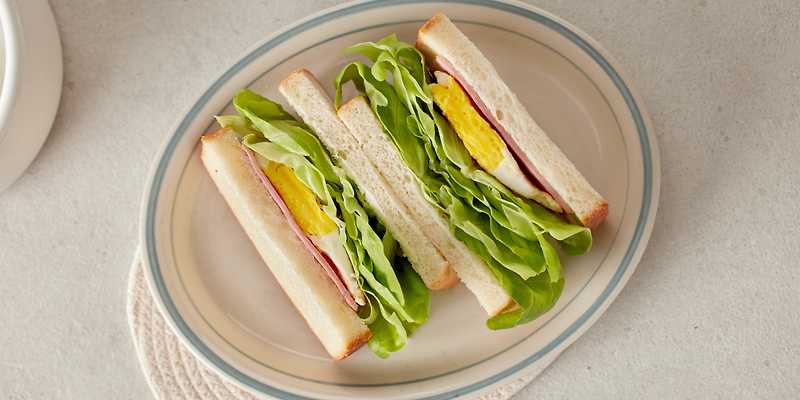 헤이즐 전라 애견맛집