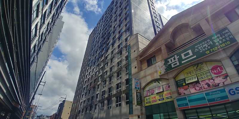 에코드반트