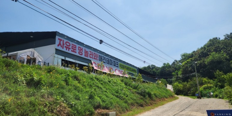 자유로멍놀러와 경기 애견카페