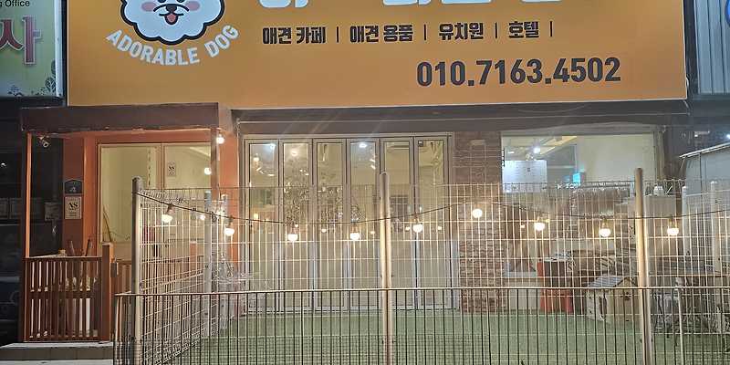 어도러블멍이 경상 애견카페
