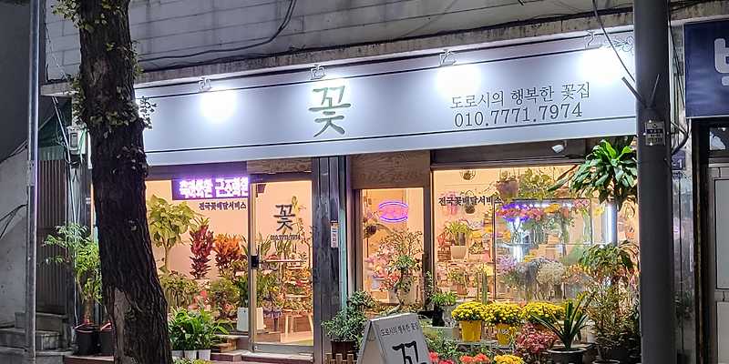 도로시의행복한꽃집