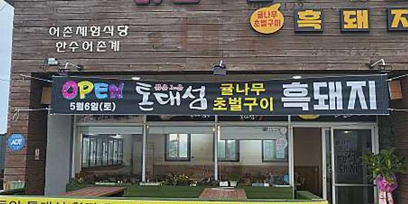 톤대섬