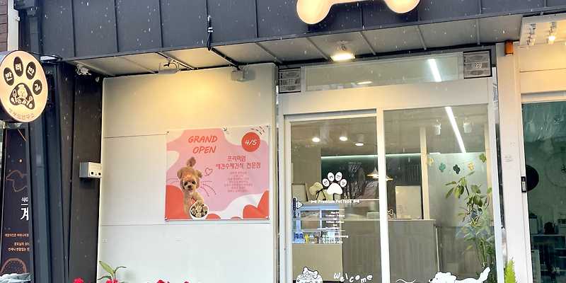 반려반상