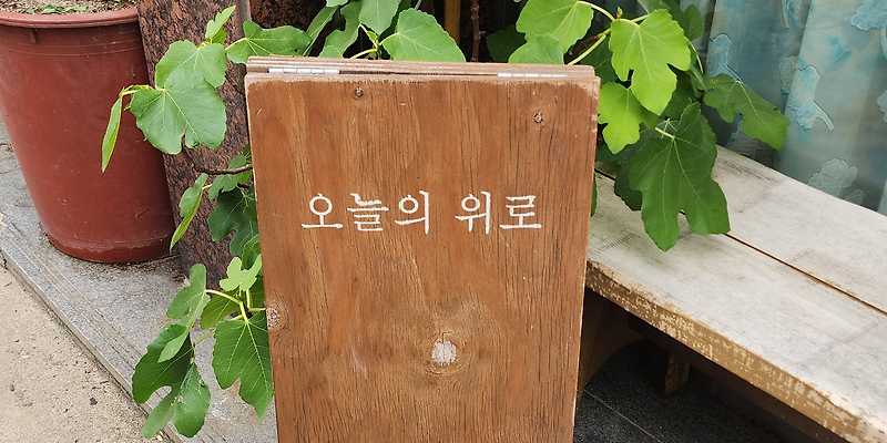 오늘의위로
