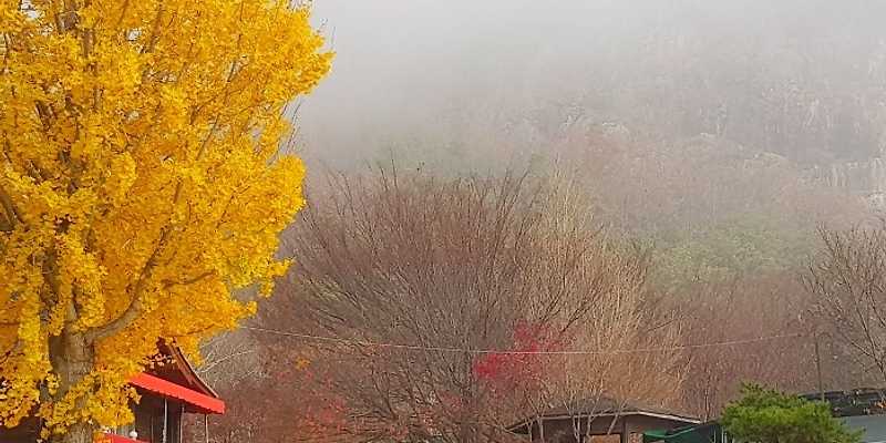 남촌가든 충청 애견맛집