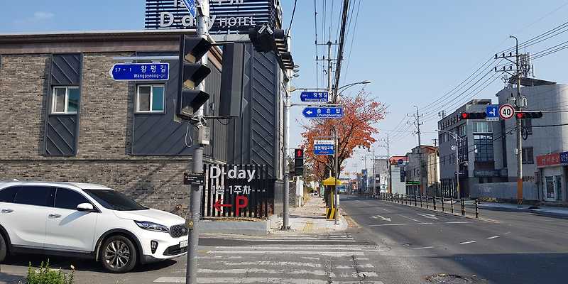 돗 반려동물 동반 애견카페