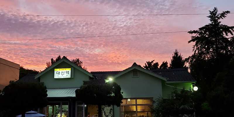 카페 대신역 경상 애견맛집