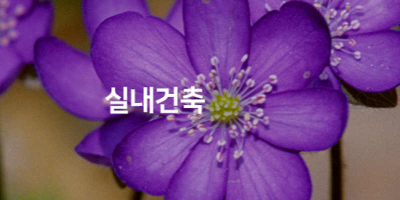 솔숲