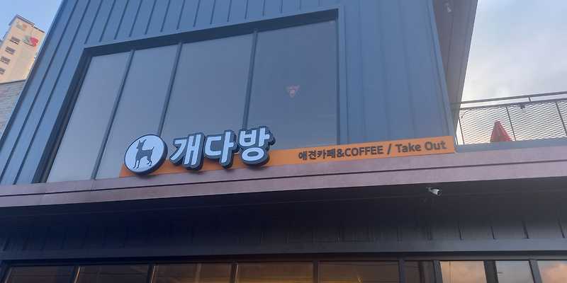 개다방 대관 경기 애견카페