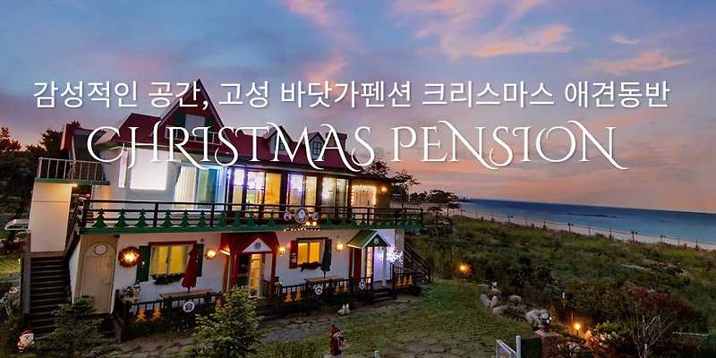 바닷가펜션 크리스마스 애견동반 강원 애견숙소