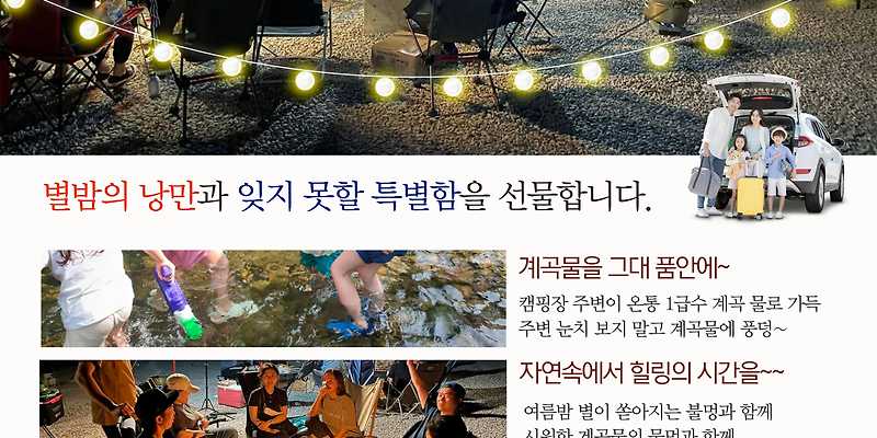 스완네 반려동물 동반 애견카페