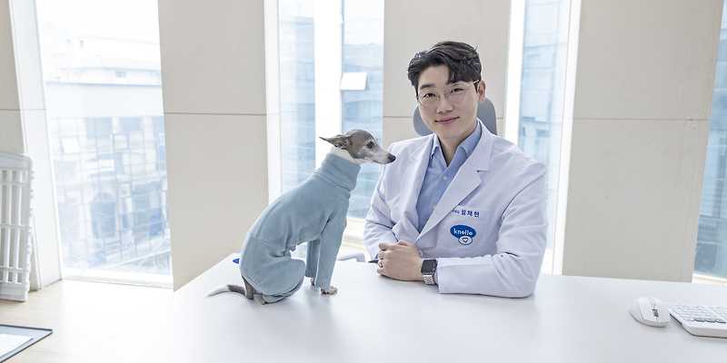 놀로스퀘어 서울 애견카페