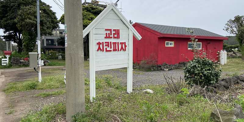 교래 치킨 피자