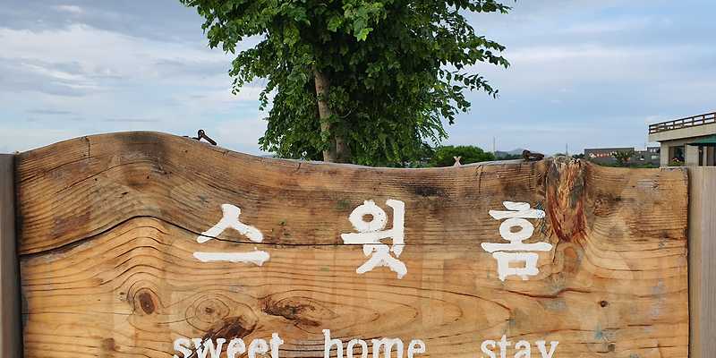 멍줍강아지산책유치원 반려동물 동반 애견카페