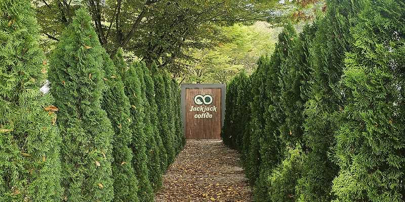 짹짹커피 함안점 경상 애견카페