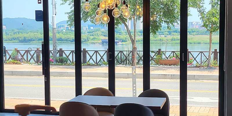 비오브 경기 애견카페