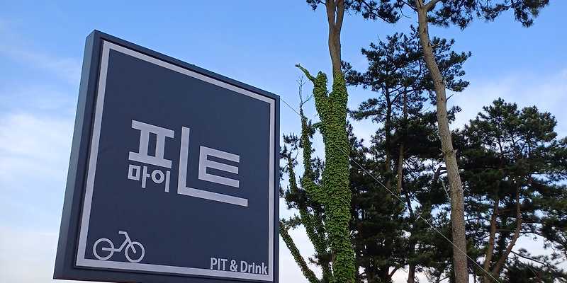마이피트 경상 애견카페