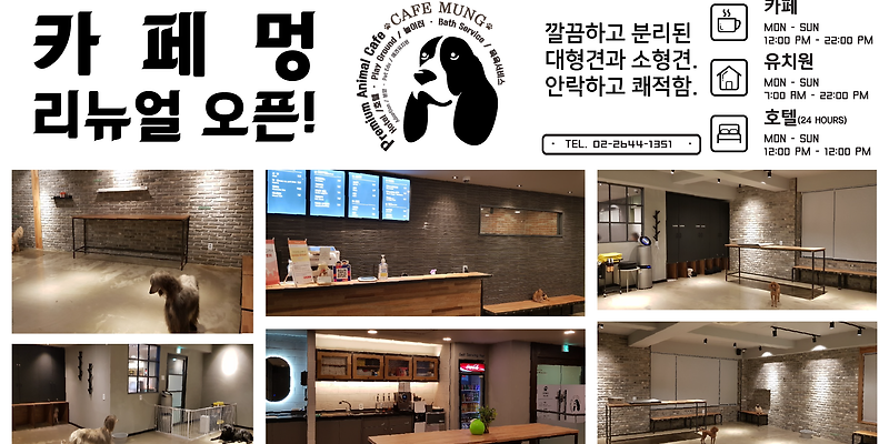 카페멍 목동점 양천구 애견카페