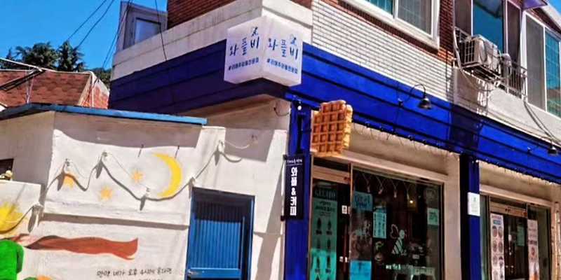 와플비 부산 애견카페