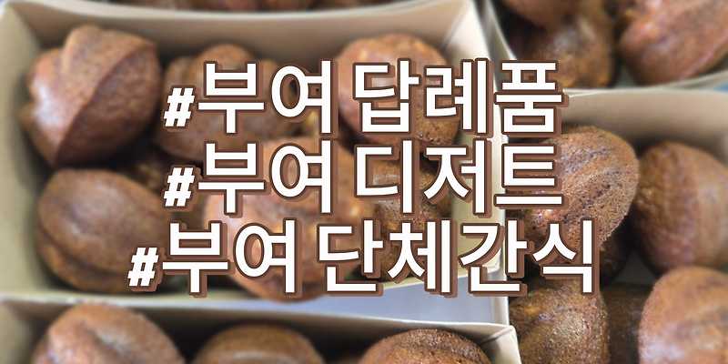 미누미누 충청 애견카페