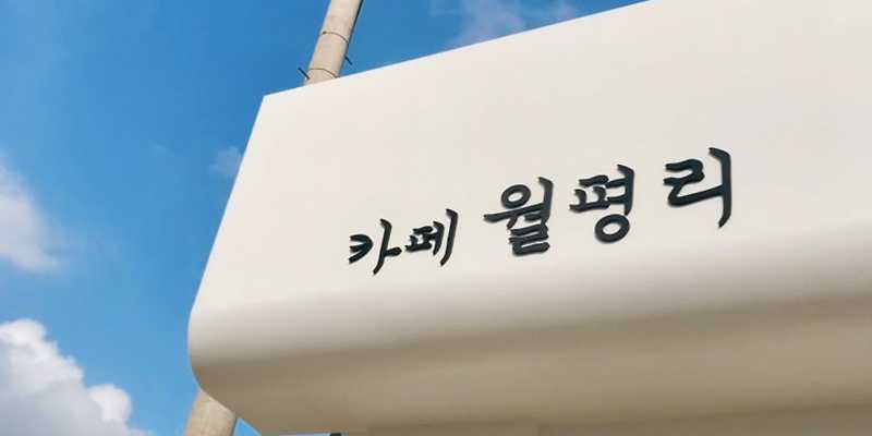카페월평리 전라 애견맛집