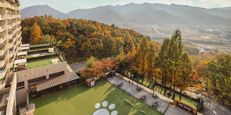켄싱턴리조트 충주 충청 애견숙소