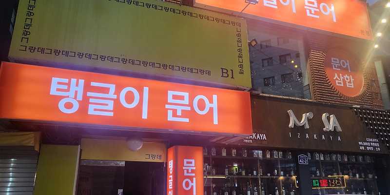 탱글이문어