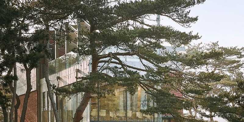 카페로우 충청 애견카페