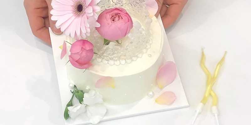 팔레트 경상 애견맛집