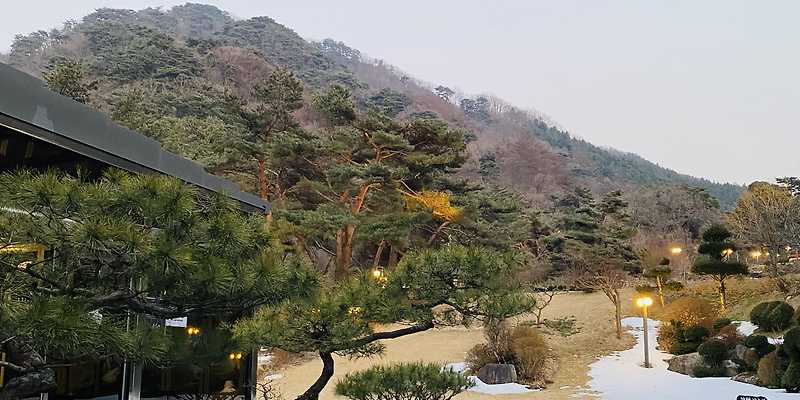 호수길133 강원 애견카페