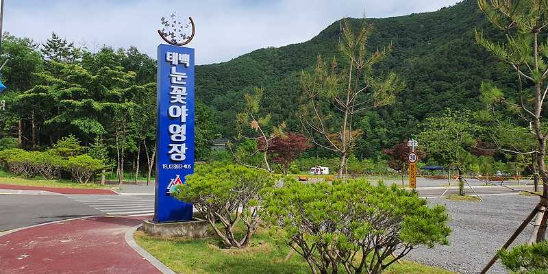 광민이네오토캠핑장 반려동물 동반 애견카페