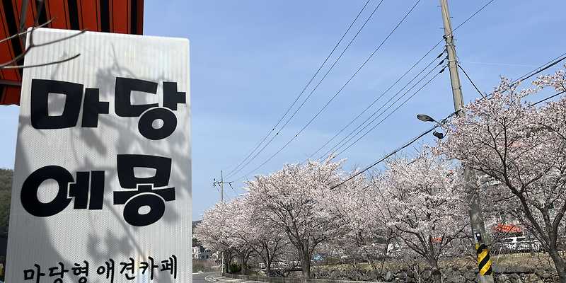 마당에몽 경상 애견카페