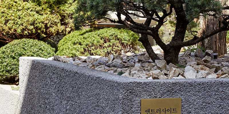 앤트러사이트 서교점 서울 애견카페