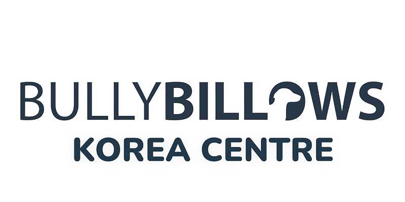 불리빌로우 센터 경기 애견카페