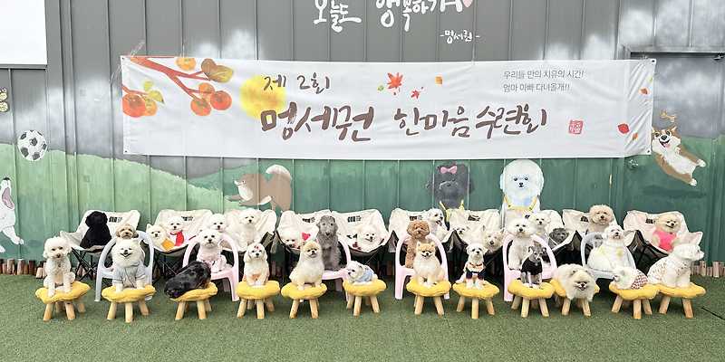멍세권 충청 애견카페