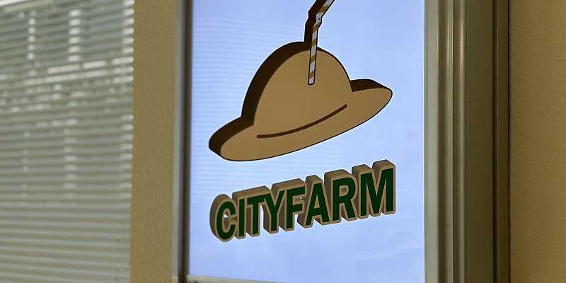 제이프로CITYFARM 부산 애견카페