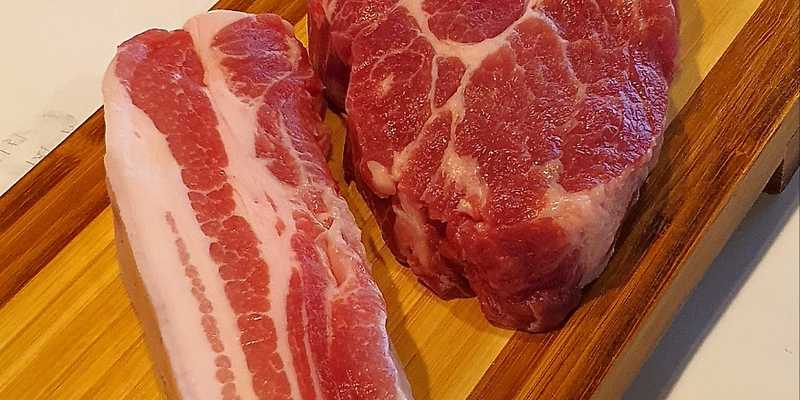 사계흑돼지 산방산본점 제주 애견맛집