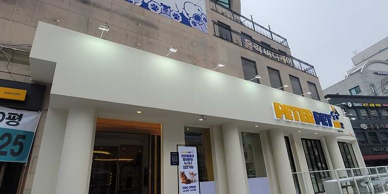 피터펫 강남논현점 서울 애견맛집