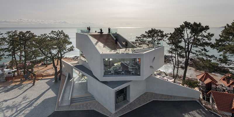웨이브온커피 부산 애견카페