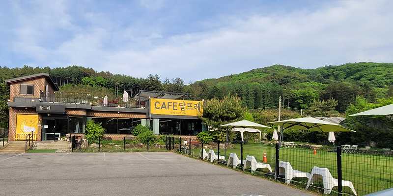 달뜨레 경기 애견카페