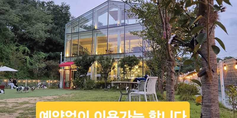 cafe사개 경기 애견카페