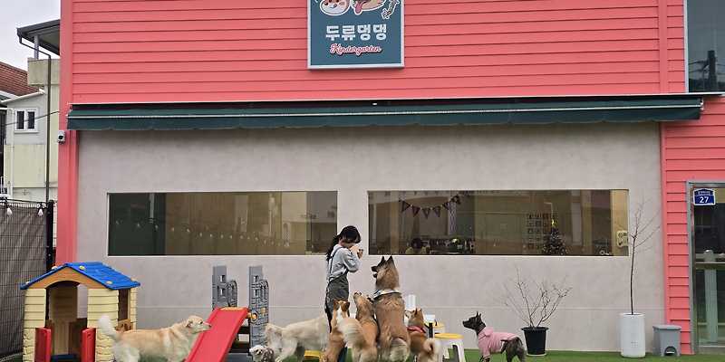 두류댕댕 경상 애견카페